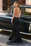 SHERRI HILL 56481